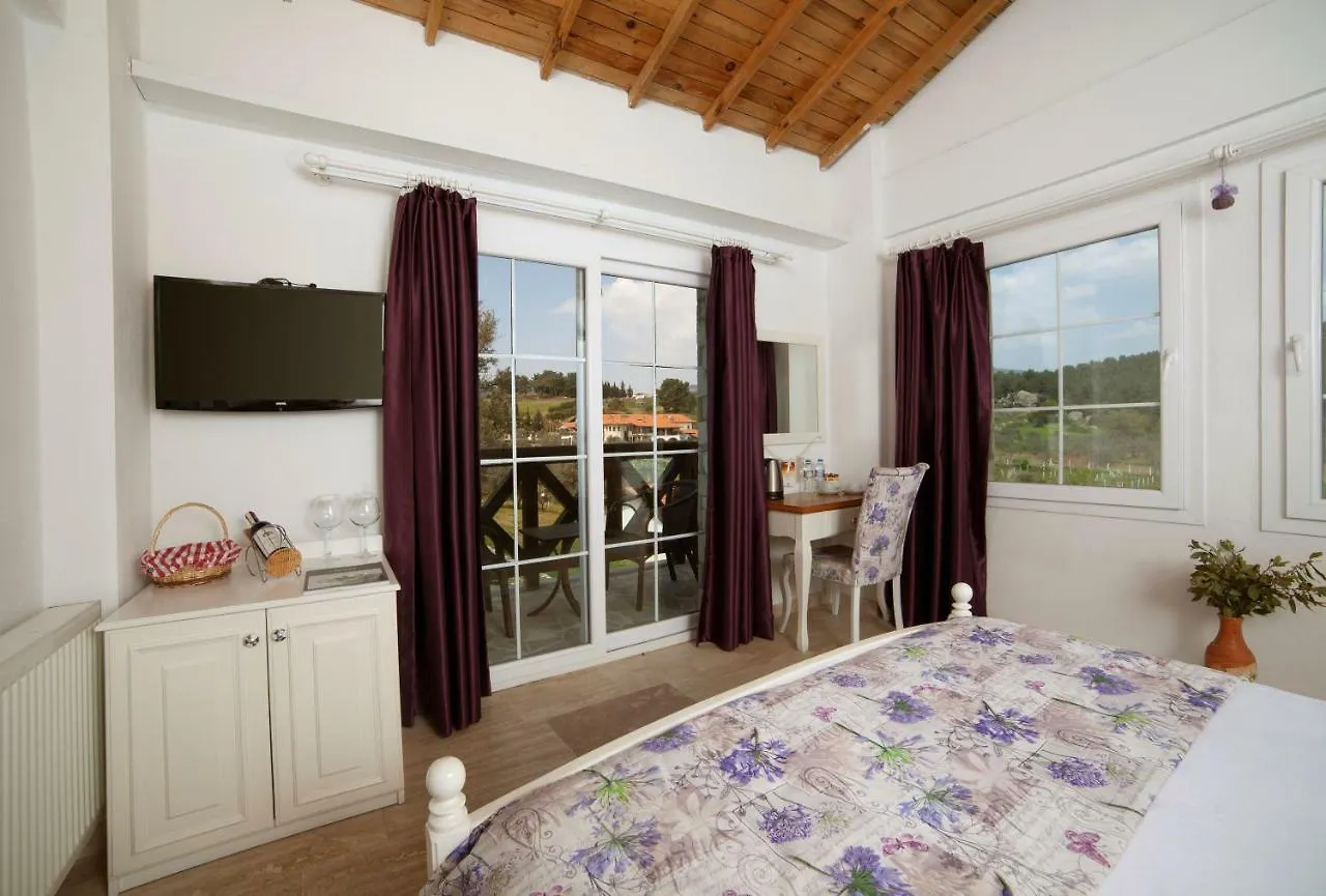 Vinifera Vineyards Hotel Selçuk 3*,  Tyrkiet