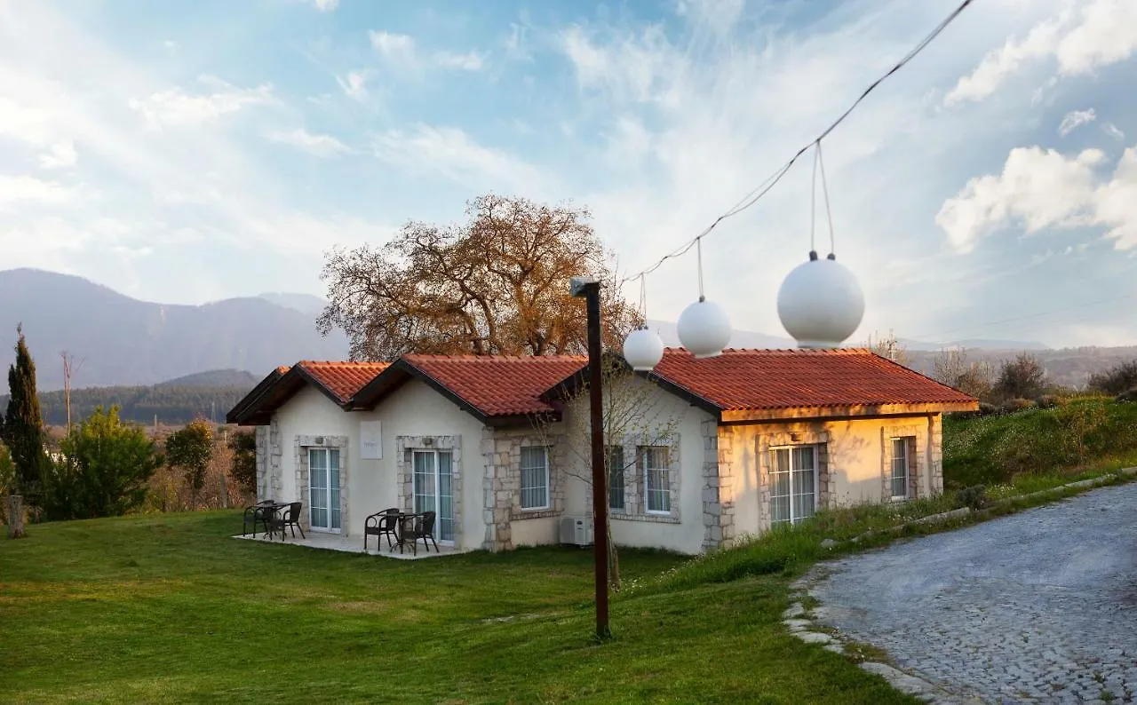 Vinifera Vineyards Hotel Selcuk