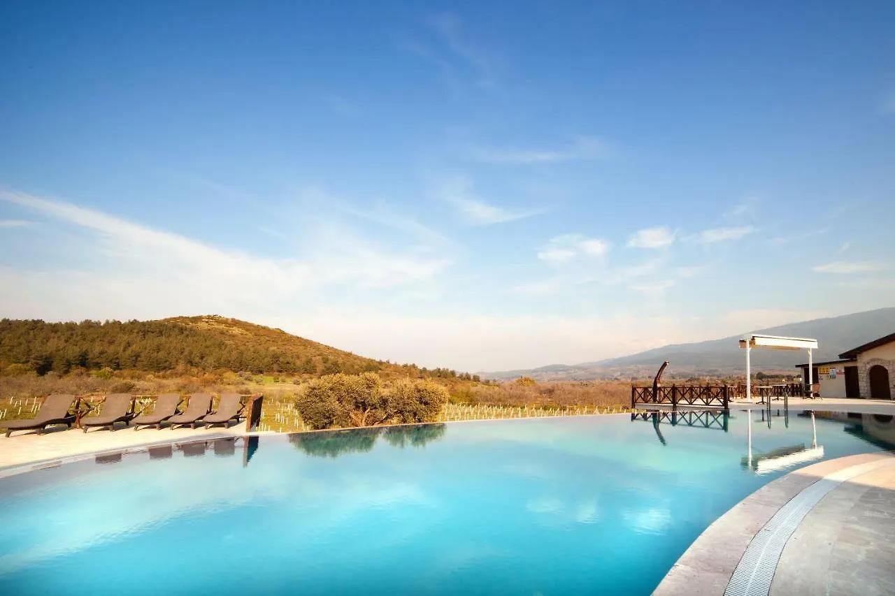 Vinifera Vineyards Hotel Σελτσούκ 3*,